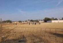 Se desploma globo aerostático en Teotihuacán; dos turistas británicos resultan heridos