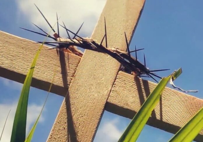 WhatsApp Image 2026-03-29 at 10.42.59 AM