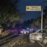 Abaten en emboscada a dos funcionarios de Ayutla Guerrero