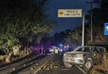 Abaten en emboscada a dos funcionarios de Ayutla Guerrero