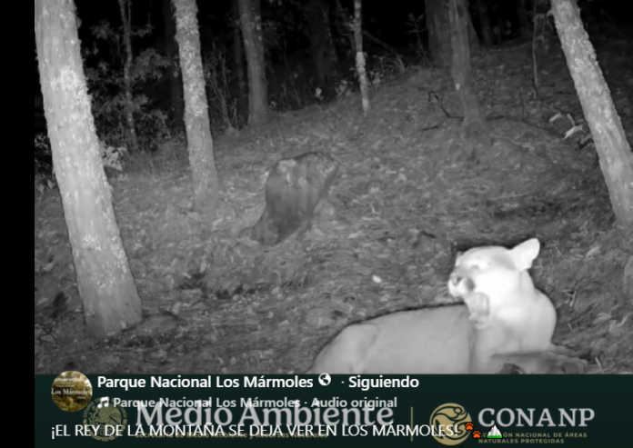 Captura de pantalla (896)