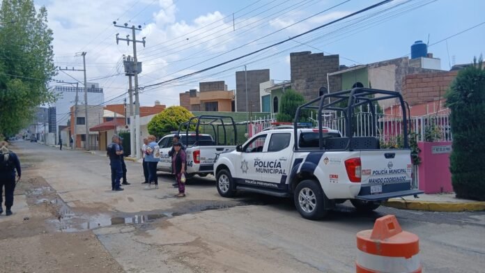 WhatsApp Image 2026-04-12 at 12.16.51 PM