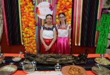 Viaje cultural a través de cuatro grandes civilizaciones de México