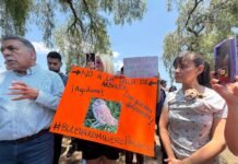 Protestan familias ante la amenaza que existe sobre áreas verdes de Pachuca
