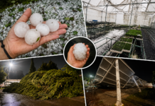Granizos del tamaño de limones destrozan cultivos y viviendas en Hidalgo