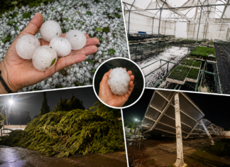 Granizos del tamaño de limones destrozan cultivos y viviendas en Hidalgo