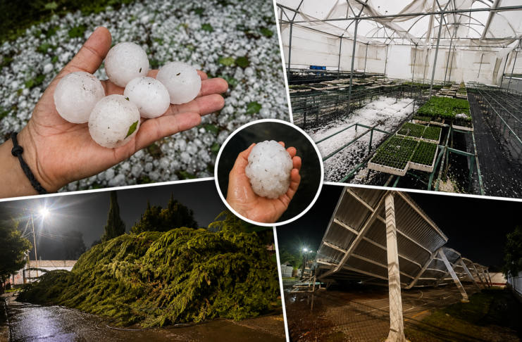 Granizos del tamaño de limones destrozan cultivos y viviendas en Hidalgo