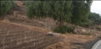 Hallan a una pareja sin vida en terrenos de cultivo de Zempoala