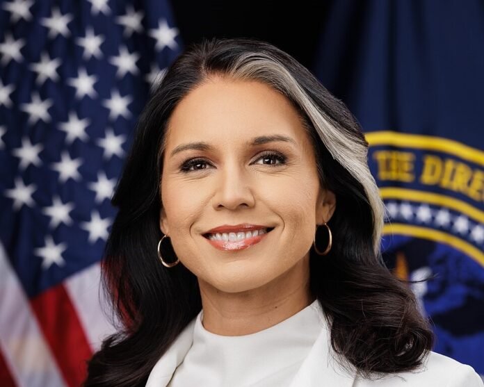 Director_Tulsi_Gabbard_Official_Portrait