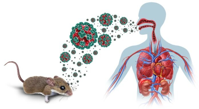 contagio-hantavirus (1)