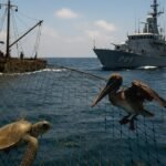 Ambientalistas realizan misión marítima en Playa Bagdad
