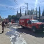 Ataca enjambre de abejas a niños de escuela primaria de Hidalgo