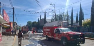 Ataca enjambre de abejas a niños de escuela primaria de Hidalgo