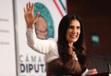 Investigar a políticos vinculados con el crimen para construir la paz
