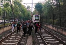 Falla en el Tren Ligero afecta ruta hacia el Estadio Azteca