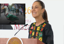Esto solo pasa en México: Sheinbaum invita al pato Merlín a la mañanera