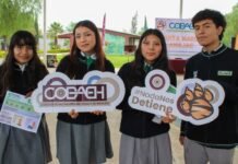 COBAEH refuerza prevención de violencia y convivencia escolar en sus 133 planteles