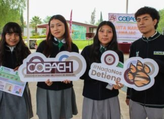 COBAEH refuerza prevención de violencia y convivencia escolar en sus 133 planteles