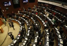 Senadores alistan salida para buscar gubernaturas en 2027