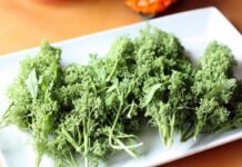 Huauzontle: superalimento mexicano que la ciencia destaca por sus beneficios