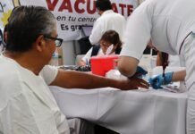 Cáncer de próstata: más de 180 muertes registradas en 2025
