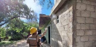 SSH: acciones contra el dengue reducen 88.5% los casos