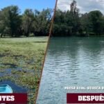 Retiran mil toneladas de lirio acuático de presa en Huasca de Ocampo