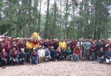Reforestan el Parque Nacional El Chico
