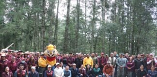 Reforestan el Parque Nacional El Chico