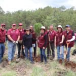 Invitan a participar en la creación del primer refugio climático urbano