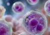 Emite Salud alerta de viaje a EE.UU por brote de Ciclosporiasis