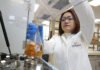 Universitaria crea bebida de cebada para prevenir cáncer de colon