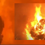 Incendios forestales arrasan en España y Francia