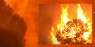 Incendios forestales arrasan en España y Francia