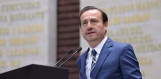 Proponen endurecer penas por tráfico ilegal de flora y fauna silvestre