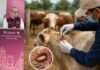 Refuerzan vigilancia epidemiológica por gusano barrenador en Hidalgo