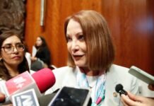 Senado respalda iniciativa de Sheinbaum sobre feminicidio