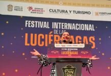 Hidalgo brilla en el Festival Internacional de las Luciérnagas