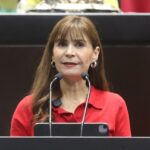 Diputada propone prohibir la posesión y venta de animales silvestres