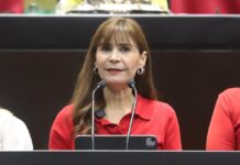 Diputada propone prohibir la posesión y venta de animales silvestres