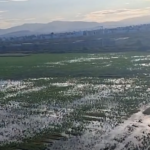 Denuncian inundaciones de aguas negras en privadas de Santa Matilde