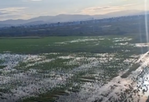 Denuncian inundaciones de aguas negras en privadas de Santa Matilde