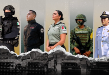 Marina, FGR y SSPC destruyen 49 explosivos improvisados en Sinaloa