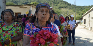 Hidalgo rendirá homenaje a más de mil 500 parteras tradicionales
