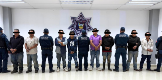 Detenidos por presunta tala clandestina en Tenango de Doria