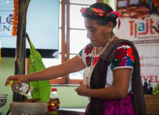 Casas de la Mujer Indígena sin funcionar en Hidalgo por falta de licencia
