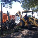 Reforestarán el bulevar Emiliano Zapata de Tulancingo