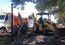 Reforestarán el bulevar Emiliano Zapata de Tulancingo