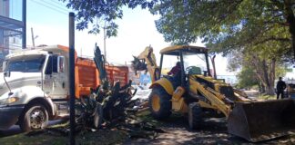 Reforestarán el bulevar Emiliano Zapata de Tulancingo