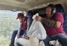 Dispersan 4 millones de semillas Esferas de Vida en Hidalgo